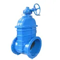 DIN F4 Mechanical Gate Valve with Nut Head